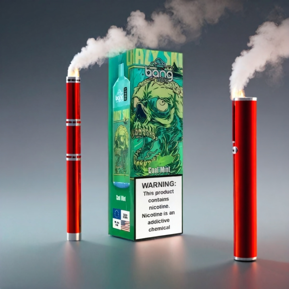 Bang Box 12000 Puffs Vape Kølig Mynte 23ML 650mAh TYPE-C 5V 1A PC 0%-5% Engros Danmark
