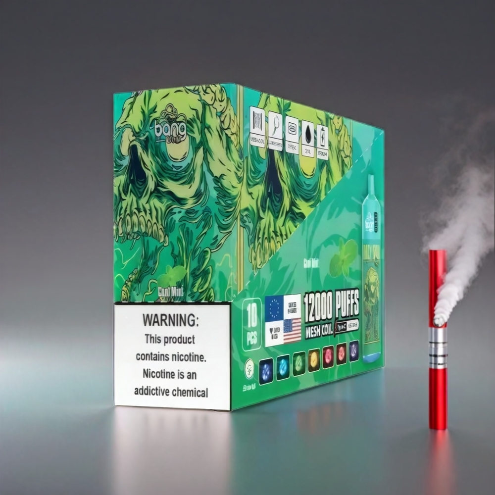 Bang Box 12000 Puffs Vape Kølig Mynte 23ML 650mAh TYPE-C 5V 1A PC 0%-5% Engros Danmark