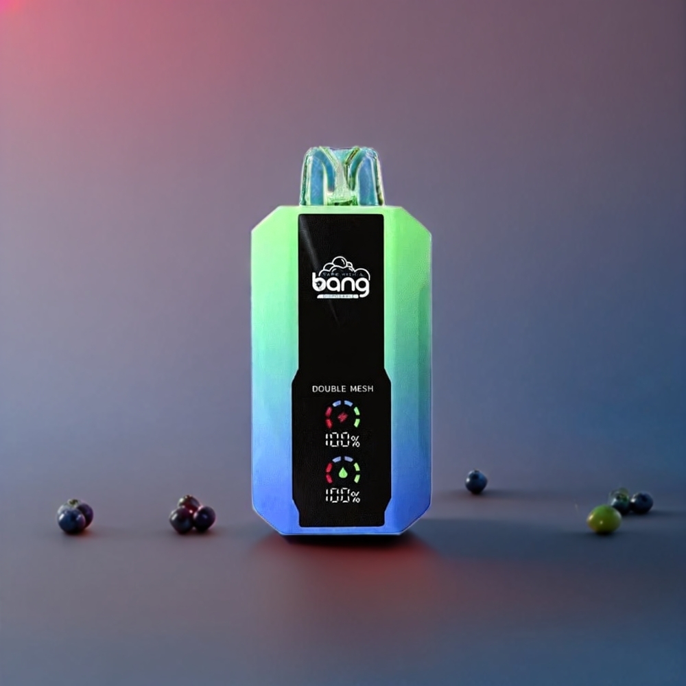 Bang 25000 Puffs Engangs Vape Blåbær Mynte 650mAh 30ml Type-C 1.0 ohm Mesh Coil Engros Danmark