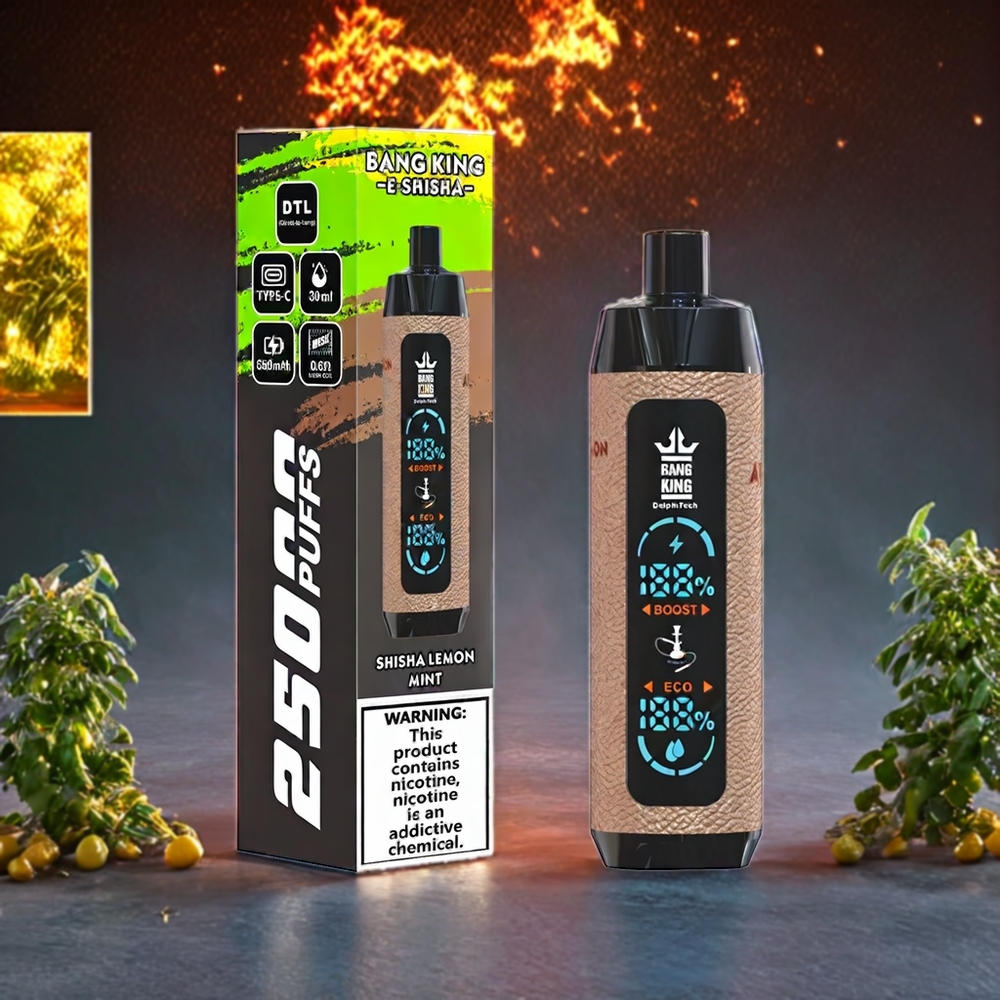 Bang King Shisha 25000 Puffs Engros Danmark 30ml 650 mAh 0,6 Ohm Type-C 0% 2% 3% 5% Citronmynte