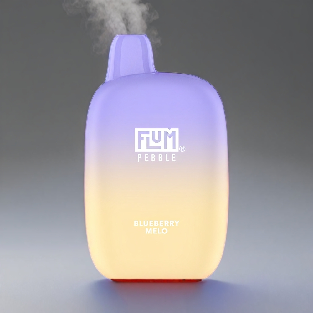 Flum Pebble 6000 Pust Blåbær Melon 10ml 5% 500mAh Mesh Type-C Engros Danmark