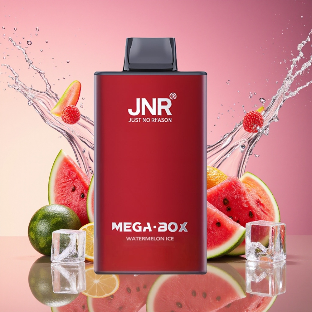 JNR Mega Box 25000 Pugs Engangs Vape Vandmelon Is 30ml 850mAh Dual Mesh Coil Type-C 2% Engros Danmark