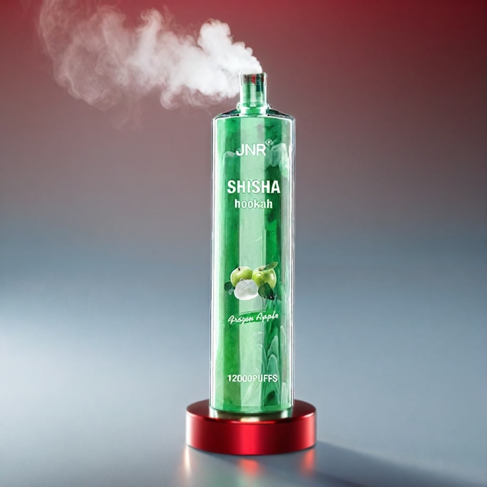 JNR Shisha Hookah 12000 Puffs 750mAh 24ml 0.6Ω Frossent Æble 10x Type-C Engros Danmark