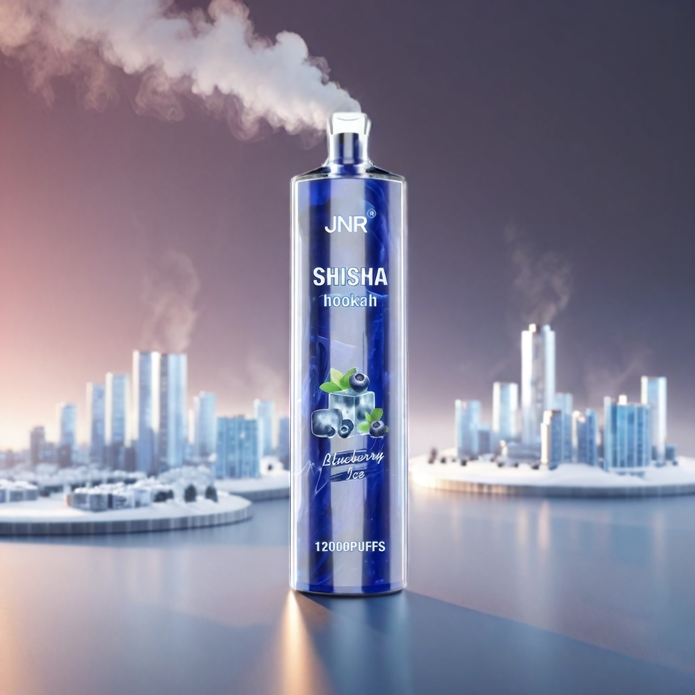 JNR Shisha Hookah 12000 Puffs 750mAh 24ml 0.6 Ohm Blåbær 10PK Type-C Engros Danmark