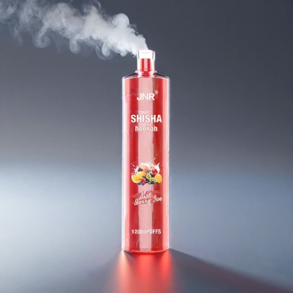 JNR Shisha Hookah 12000 Puffs Bær 750mAh 24ml 0.6Ω Type-C 10stk Engros Danmark