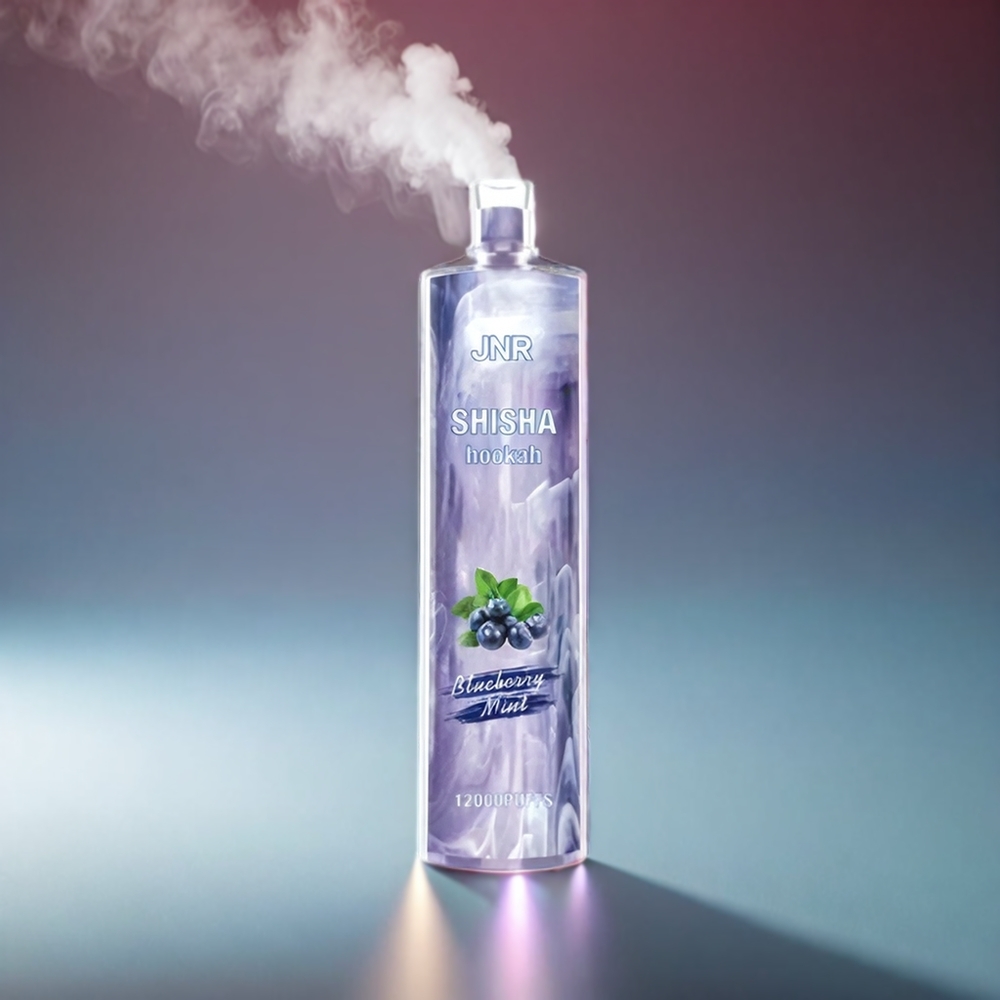 JNR Shisha Hookah 12000 Puffs Blåbær Mynte 750mAh 24ml 0.6Ω Type-C Engros Danmark