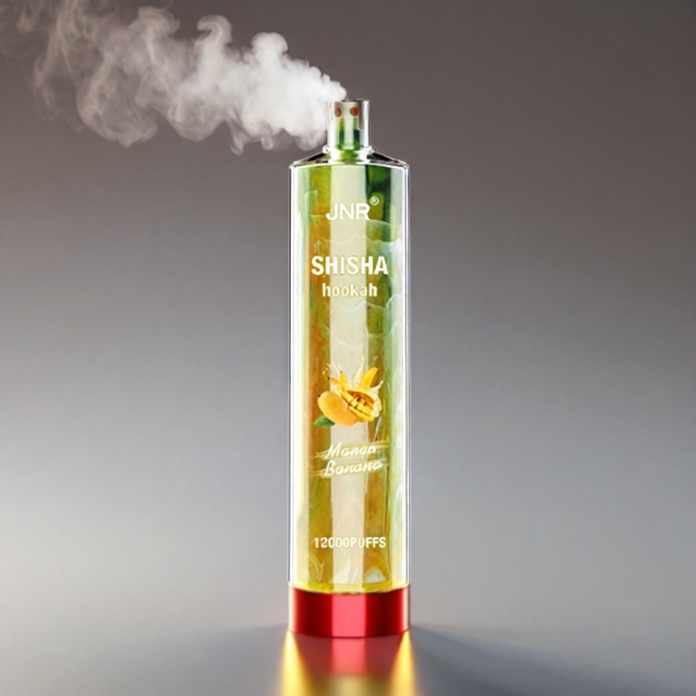JNR Shisha Hookah Mango Banan 12000 Puffs 750mAh 24ml 0.6 Ohm Type-C 10stk Engros Danmark
