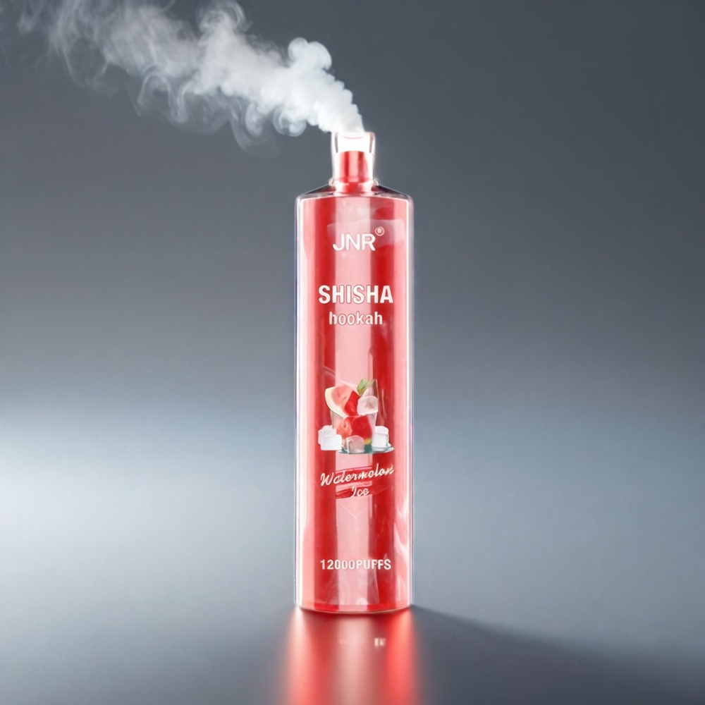 JNR Shisha Hookah Vandmelon 12000 Puffs 750mAh 24ml 0.6Ω Type-C 10PK Engros Danmark
