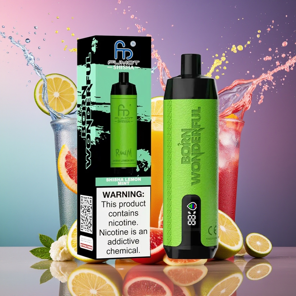 RandM Fumot Shisha 10000 Puffs LED Indikator 18ml Forfyldt E-væske 850 mAh Batteri 0.6ohm Mesh Coil Type-C Port 0.5% Nikotinindhold Citron Mynte Engros Danmark